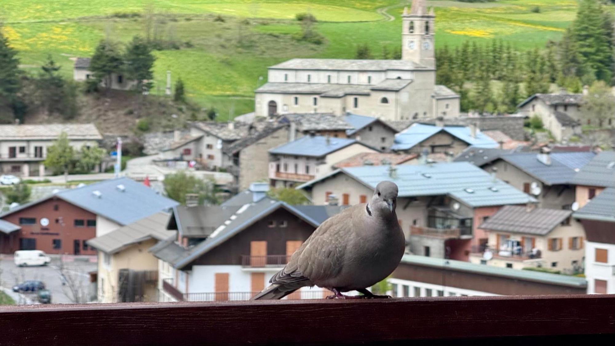 Aux Portes Du Parc National De La Vanoise Appartement Termignon Val Cenis Avec Wifi Exterior photo
